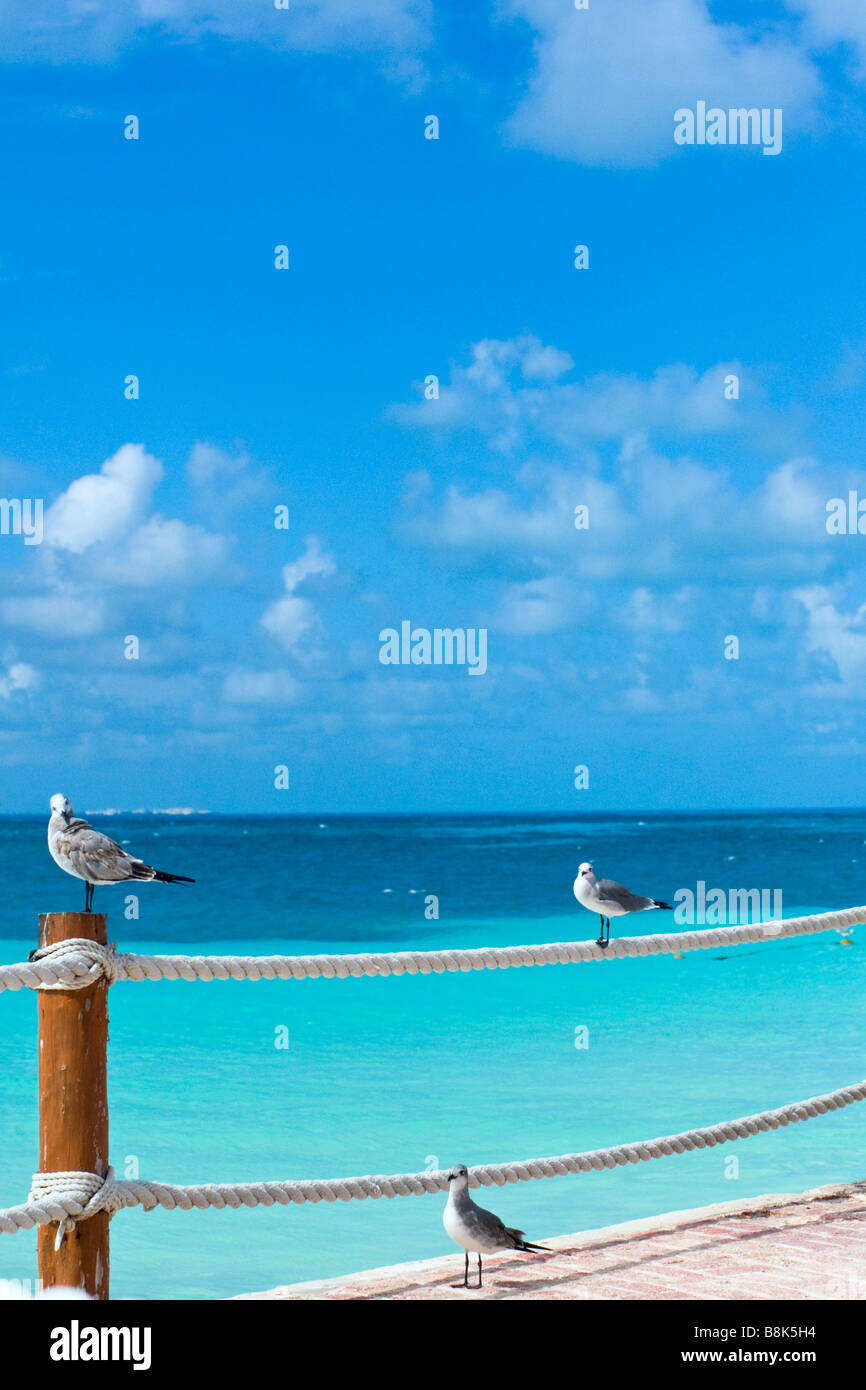 seashore vacations in cancun Stock Photo