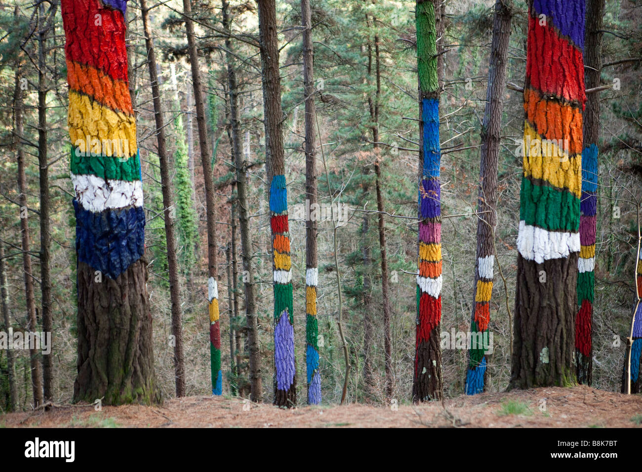 Bosque Pintado de Oma, 'the painted forest of Oma', where artist Agustin Ibarrola has painted eyes, people and geometric shapes. Stock Photo