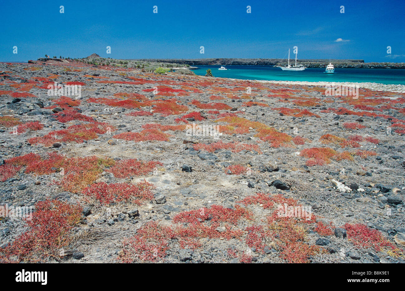 Galapagos national park hi-res stock photography and images - Alamy