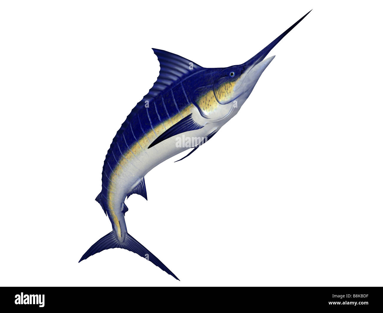 illustration of marlin fish isolated on white background Stock Photo ...