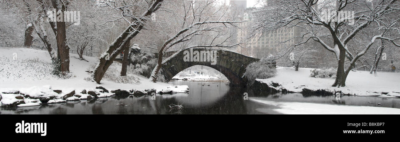 Central Park New York City after snow storm Stock Photo - Alamy