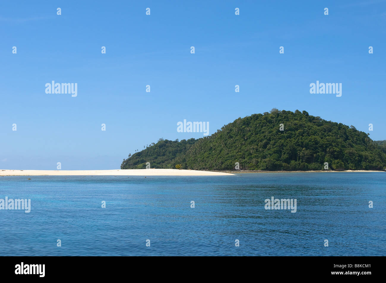 Tropical beach with palm trees hi-res stock photography and images - Alamy