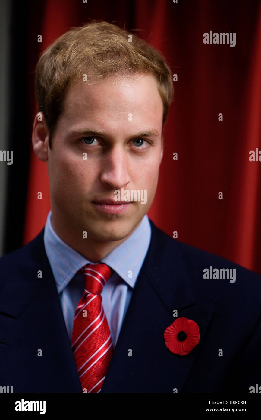Prince William in Cardiff in November 2008 wearing a Remembrance Poppy Stock Photo