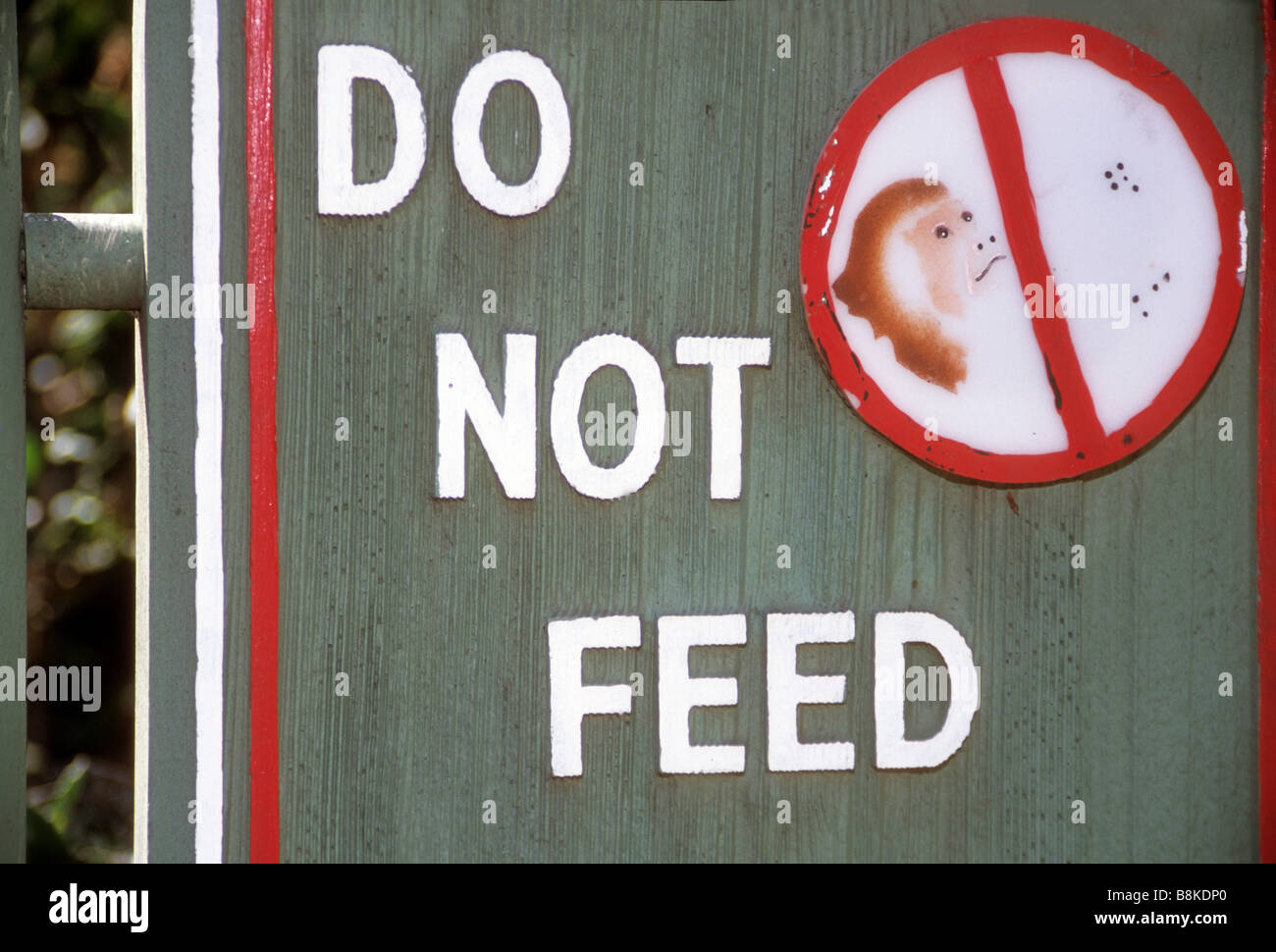 "do not feed" sign monkey animal zoo care instruction direction rule