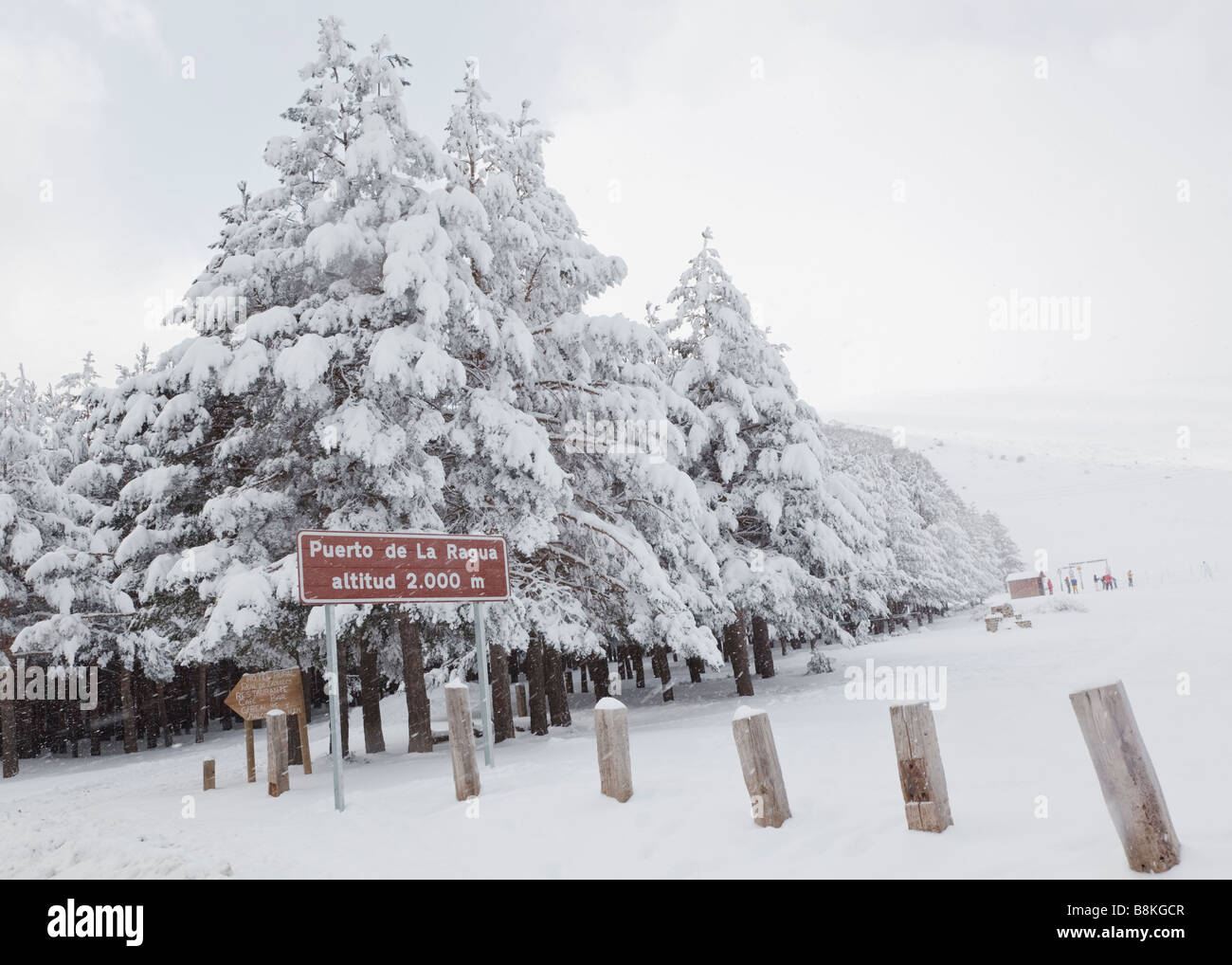 Parque nacional de sierra nevada hi-res stock photography and images - Alamy
