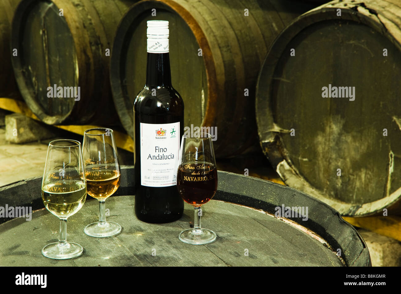 Montilla Cordoba Province Spain Interior Bodegas Navarro Bottle of Fino