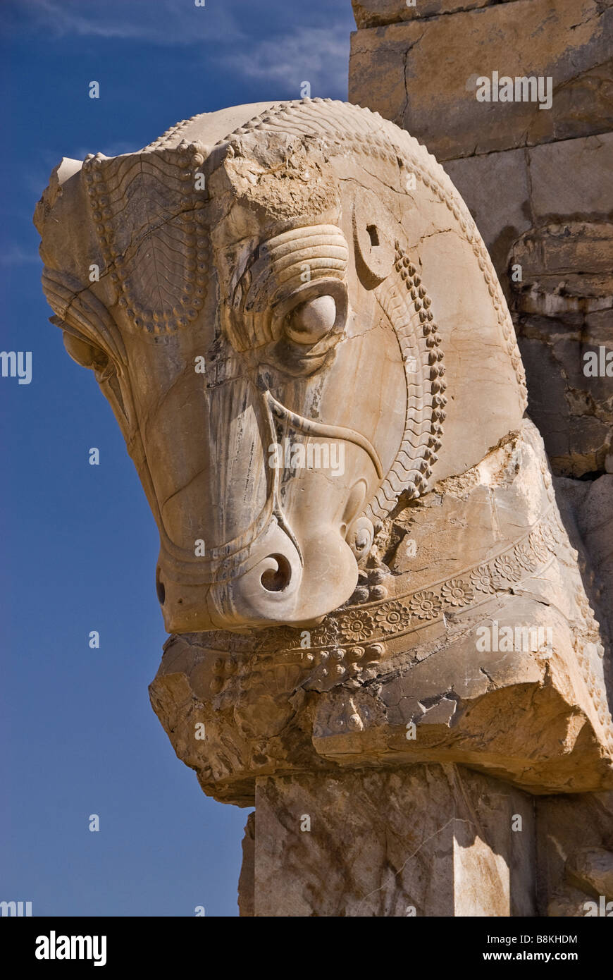 Archaeological ruins of Persepolis Iran Asia Stock Photo