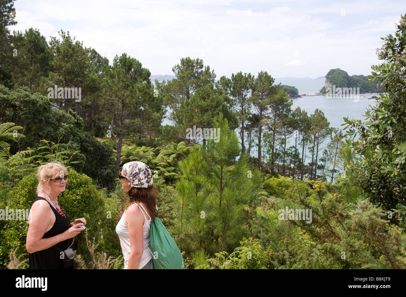 Women looking at view near Cathedral cove, Coromamdel, New Zealand, Stock Photo