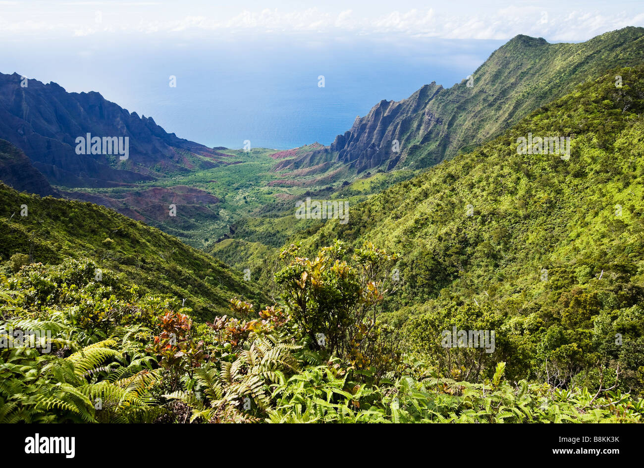 View of the Kalalau Valley and the Pacific ocean from Kokee State Park Kauai Hawaii USA Stock Photo