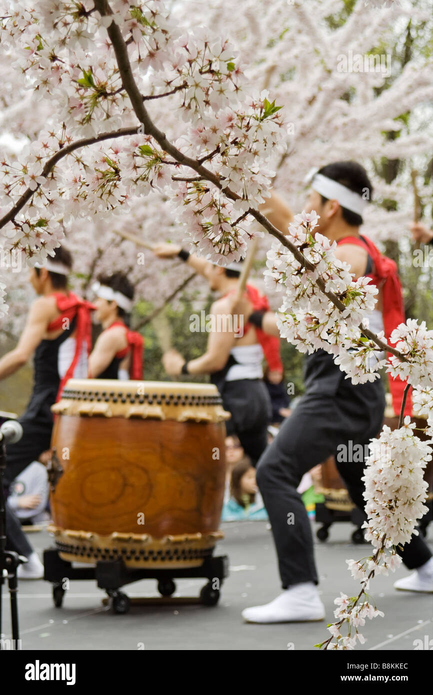 Group of Japanese drummers performing at the Sakura festival Stock Photo