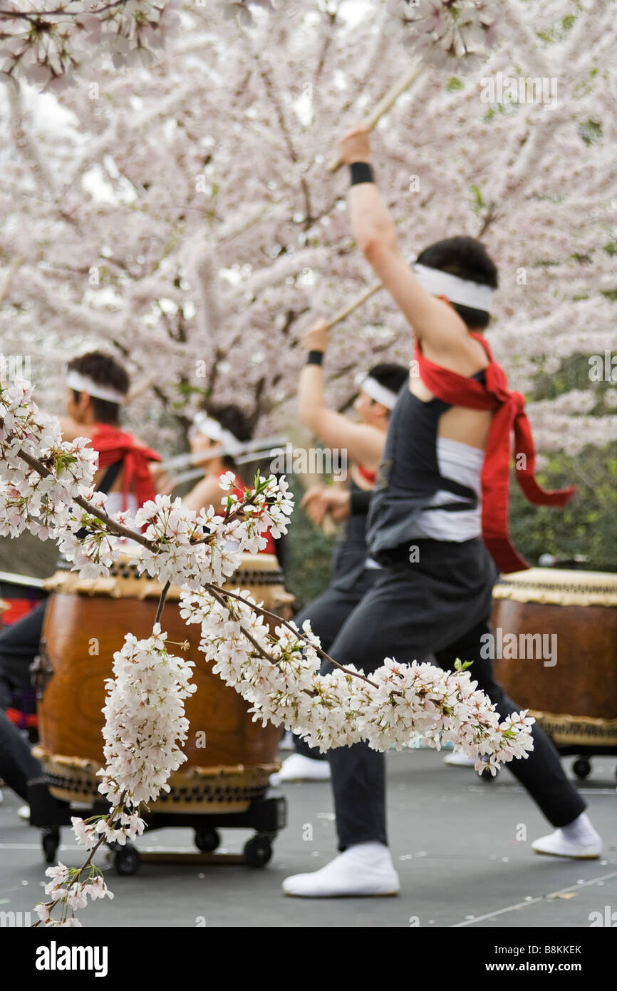 Japanese drummers at the Cherry blossom festival in Philadelphia Stock Photo
