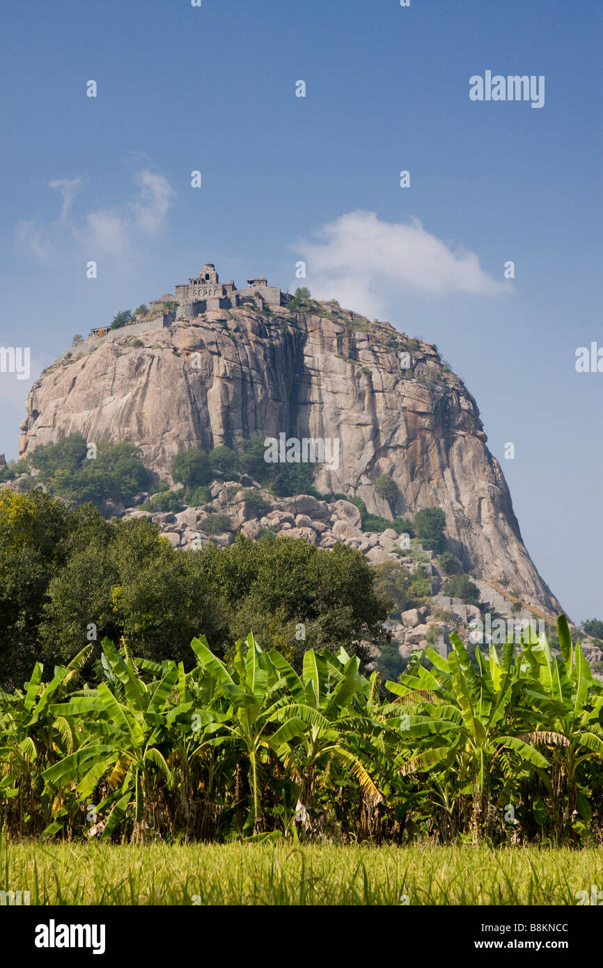 India tamil nadu rice farming hi-res stock photography and images - Alamy