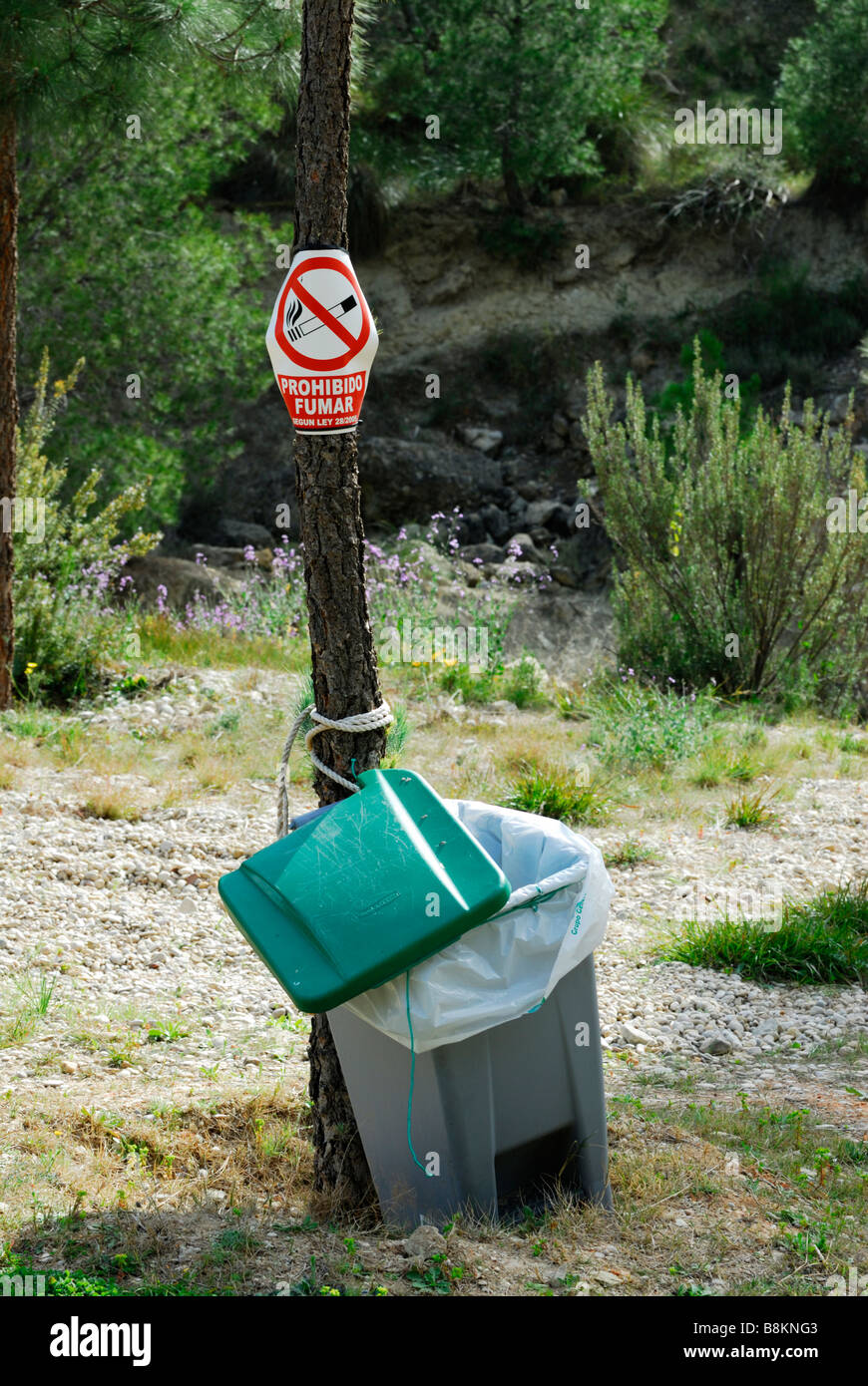 No Smoking Sign on a Tree with a Rubbish Bin, Murcia region Spain Stock Photo