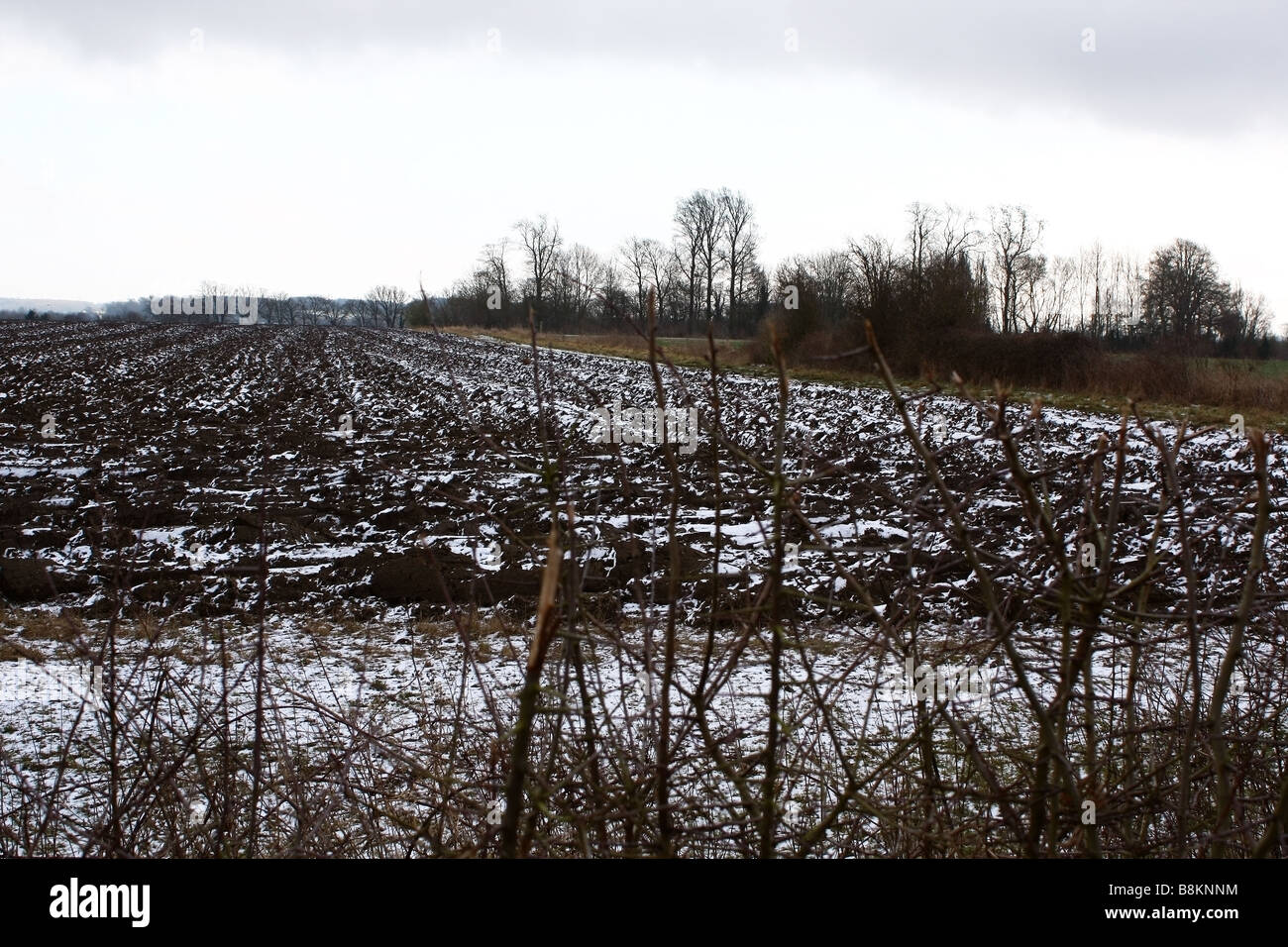 Ploughed field in the snow Stock Photo