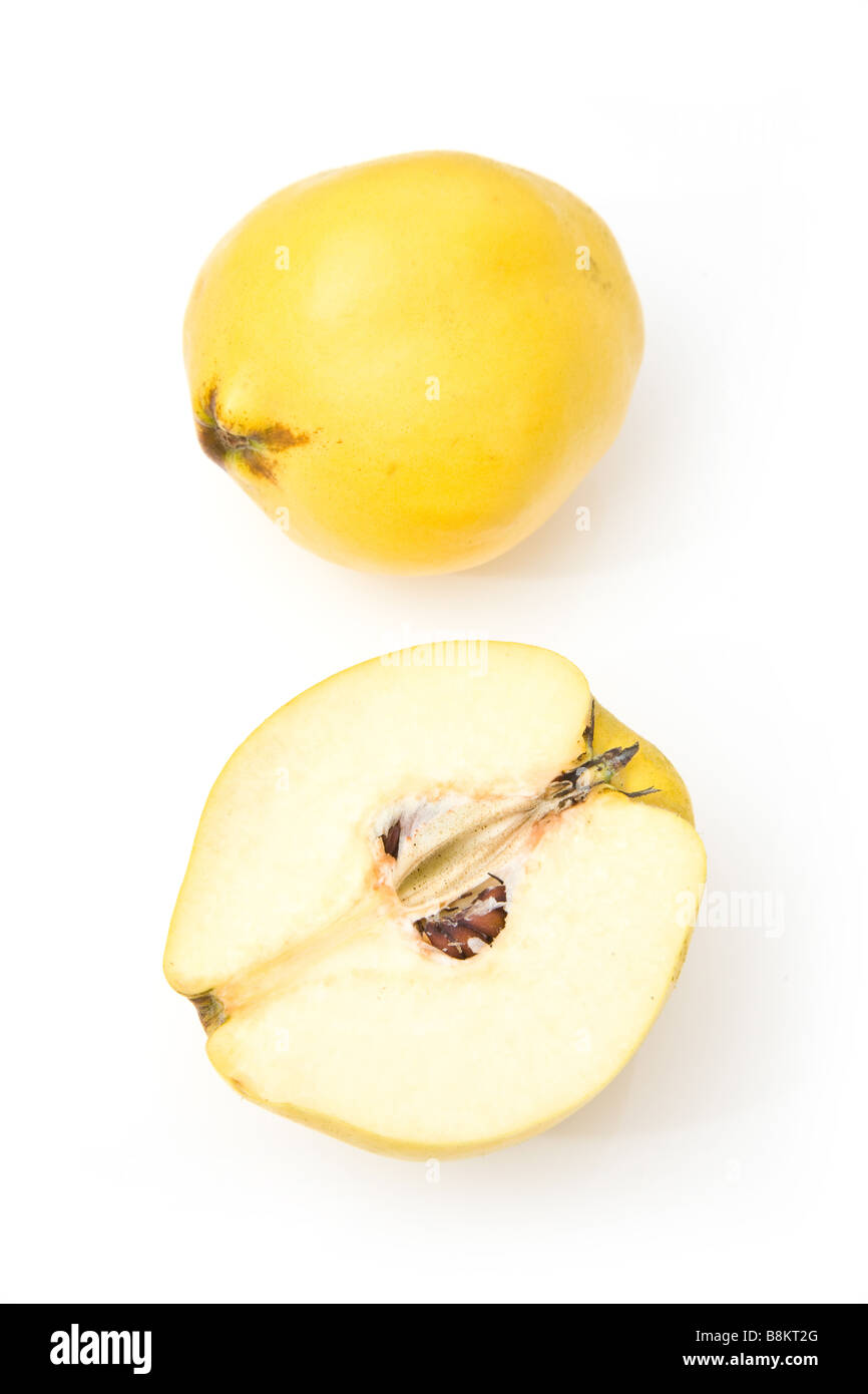 Quince isolated on a white studio background Stock Photo - Alamy
