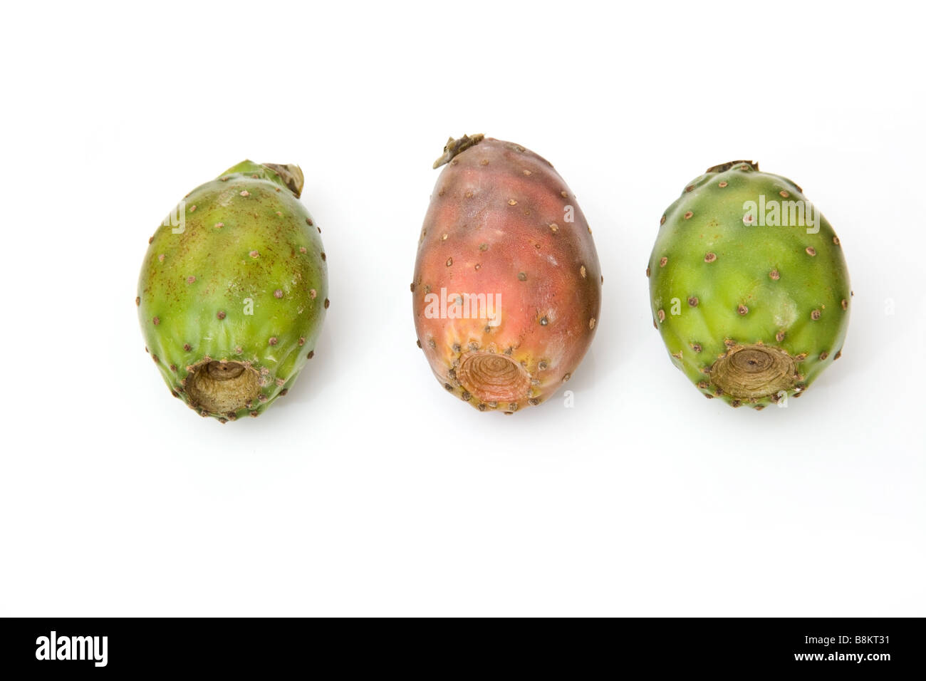 Prickly pear fruit isolated on a white studio background Stock Photo