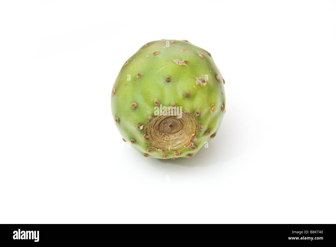 Prickly pear fruit isolated on a white studio background Stock Photo