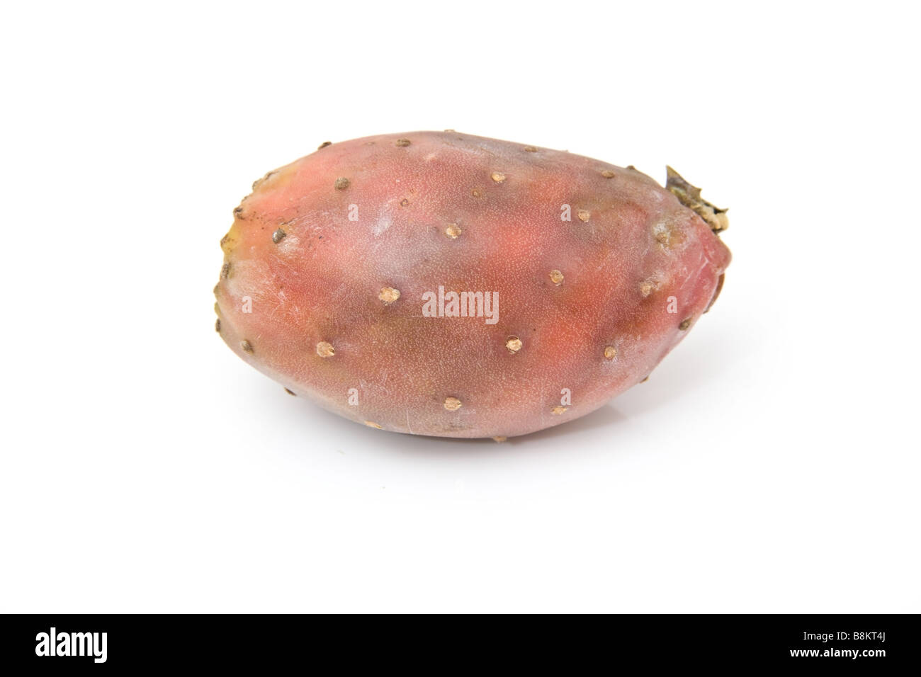 Prickly pear fruit isolated on a white studio background Stock Photo