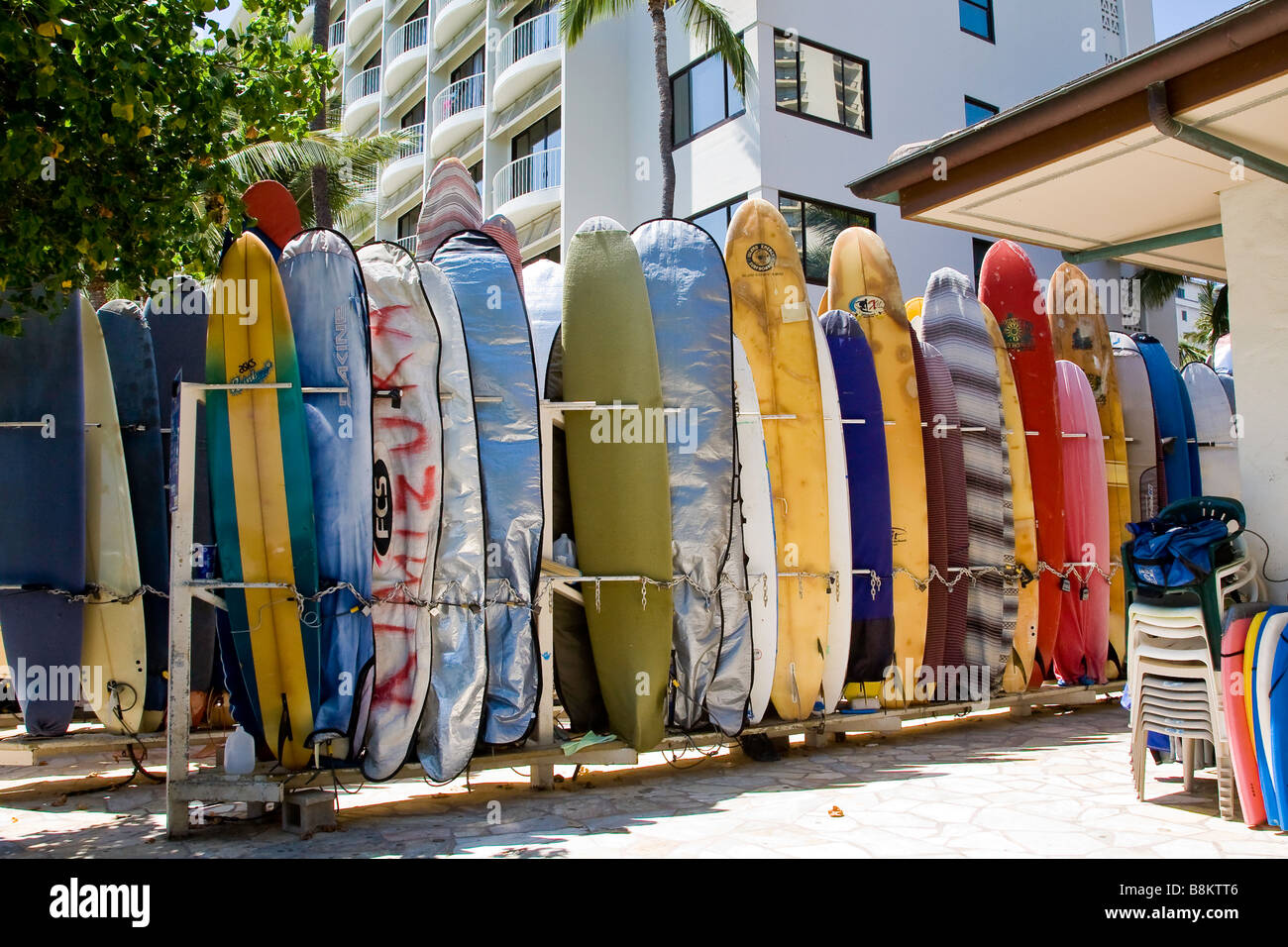 Renting surfboards 2024 near me