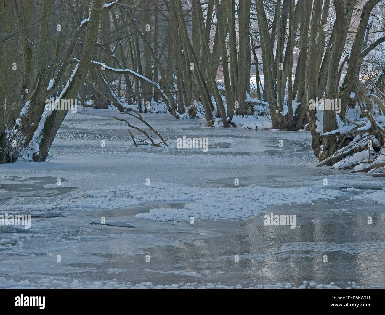 Nidder Nidder hi-res stock photography and images - Alamy