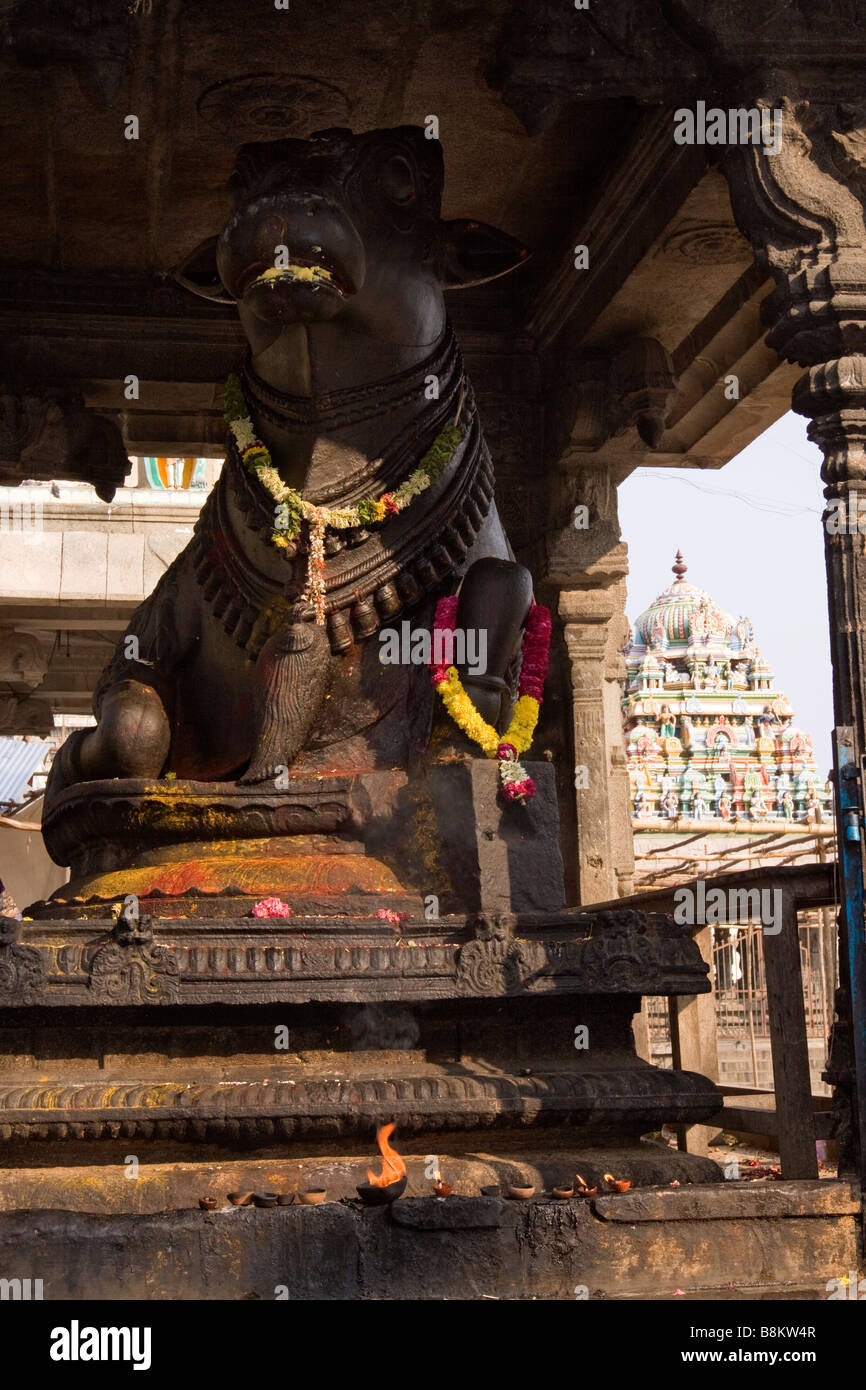 India Tamil Nadu Tiruvannamalai Arunachaleswar temple nandi bull statue at inner sanctum Stock Photo