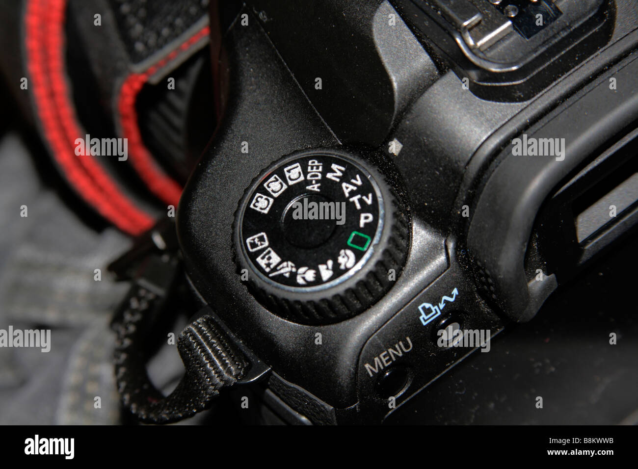 Canon Support for EOS 40D