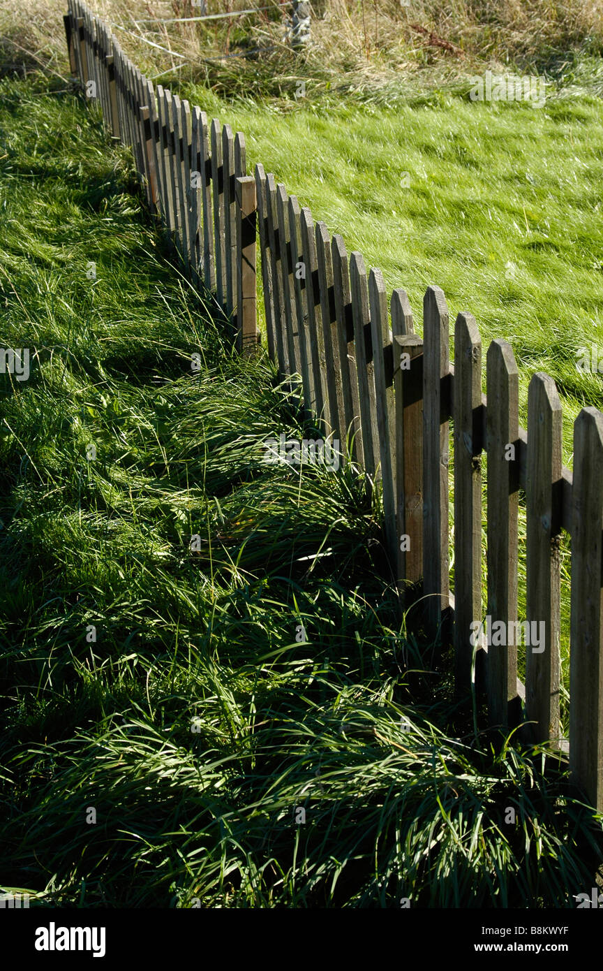 Garden and fence Stock Photo - Alamy