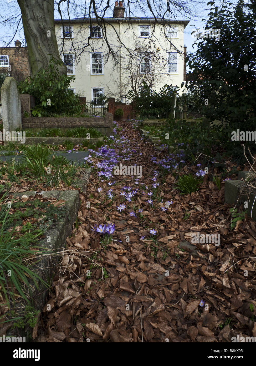 Hampstead cemetery hires stock photography and images Alamy