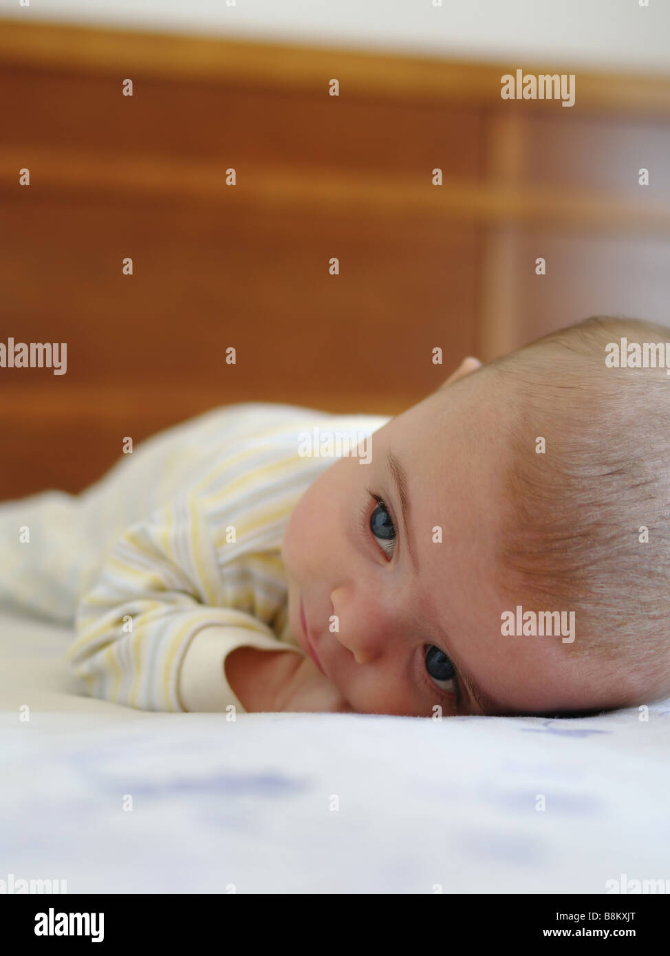 4 months old baby Stock Photo Alamy