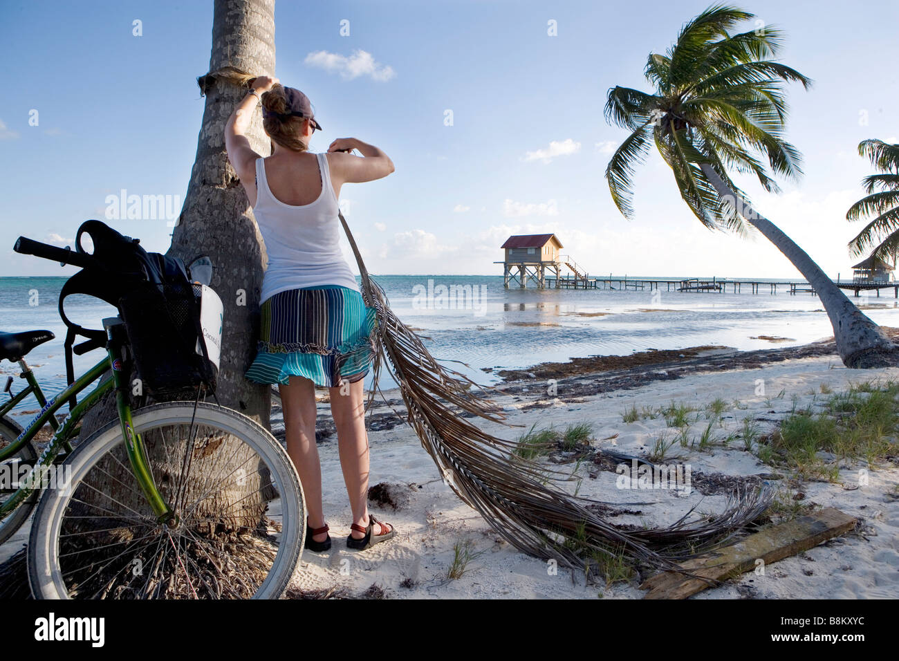 A young woman makes pictures on the beach in the late afternoon while leaning against a palm tree on Ambergris Caye in Belize. Stock Photo