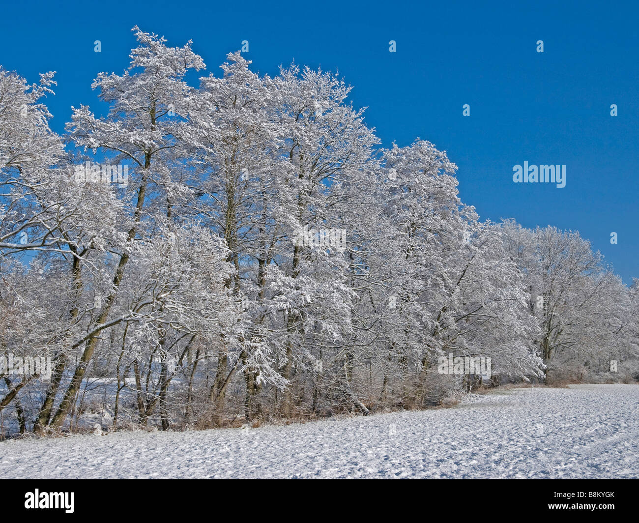 Nidder Nidder High Resolution Stock Photography and Images - Alamy
