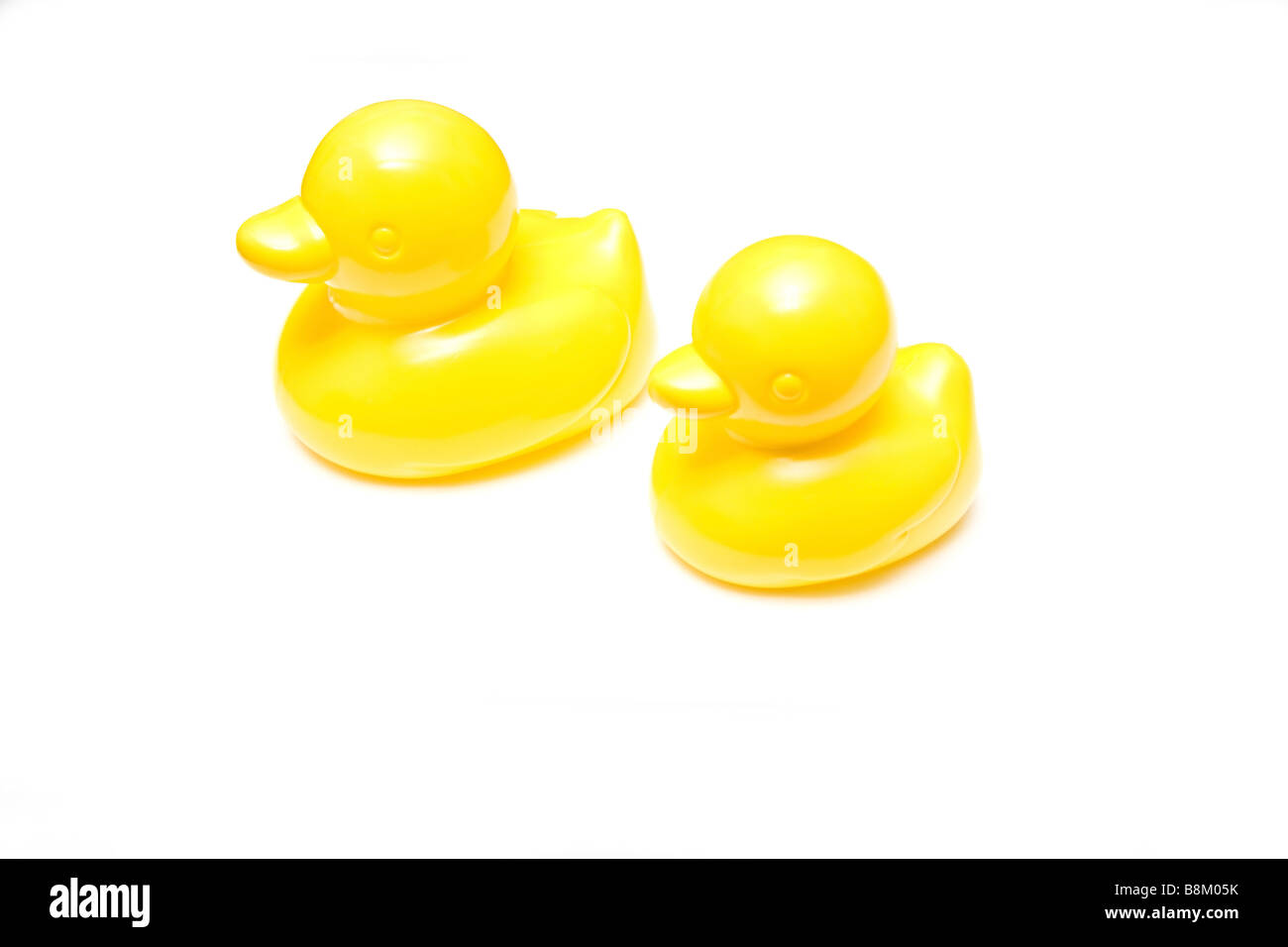 Rubber Ducks isolated on a white studio background Stock Photo - Alamy