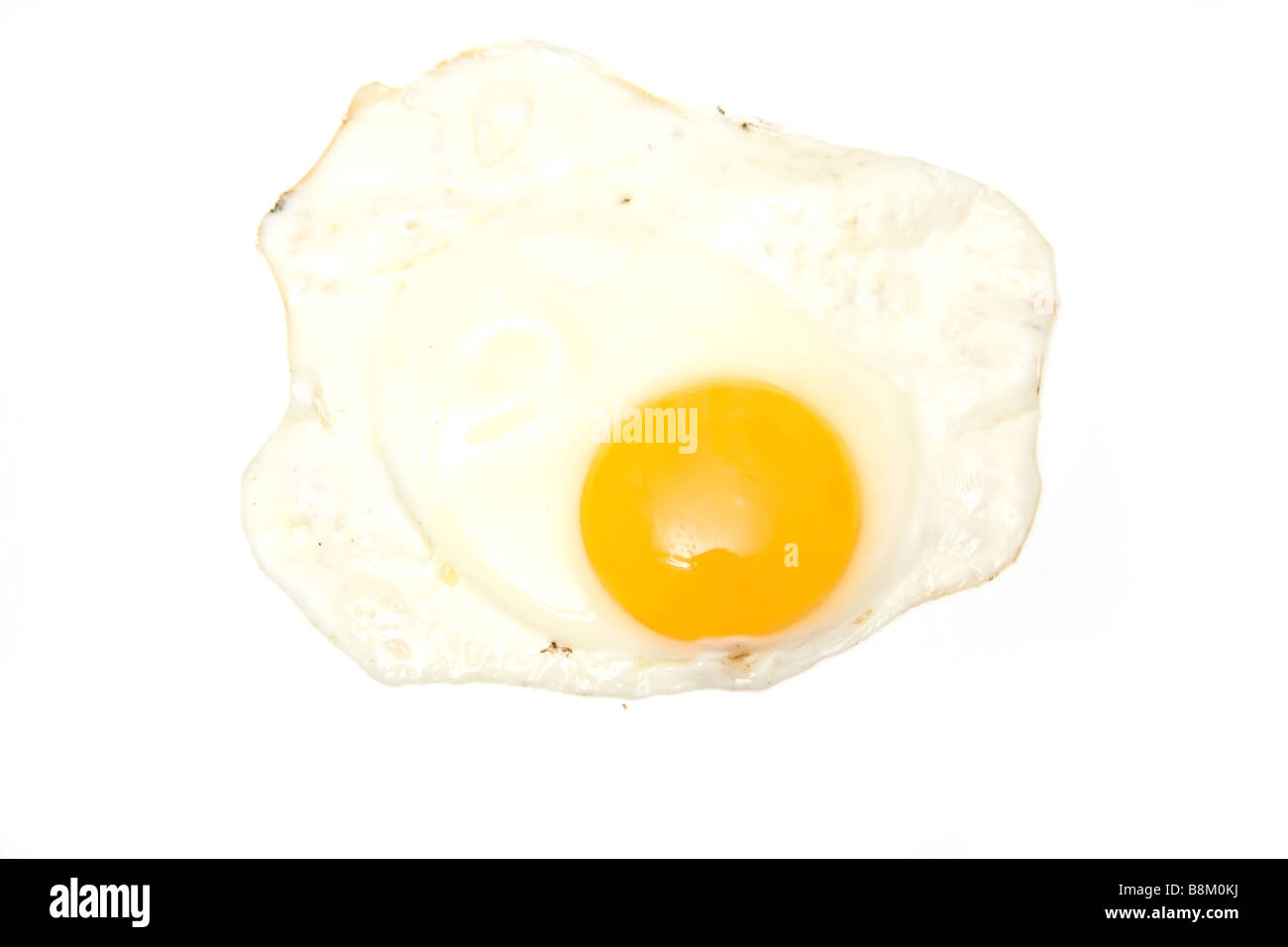 Fried egg isolated on a white studio background Stock Photo - Alamy
