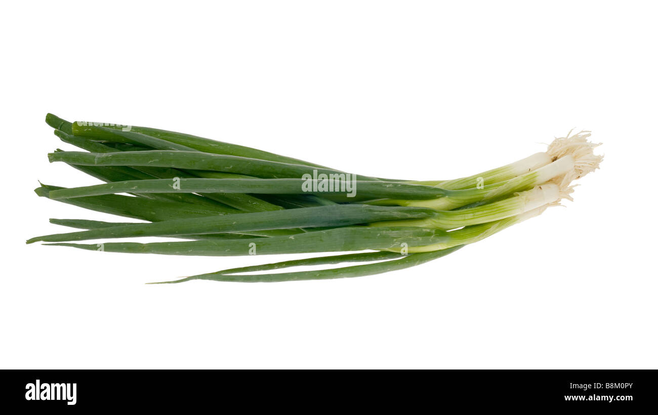 green onion isolated on a white background Stock Photo - Alamy