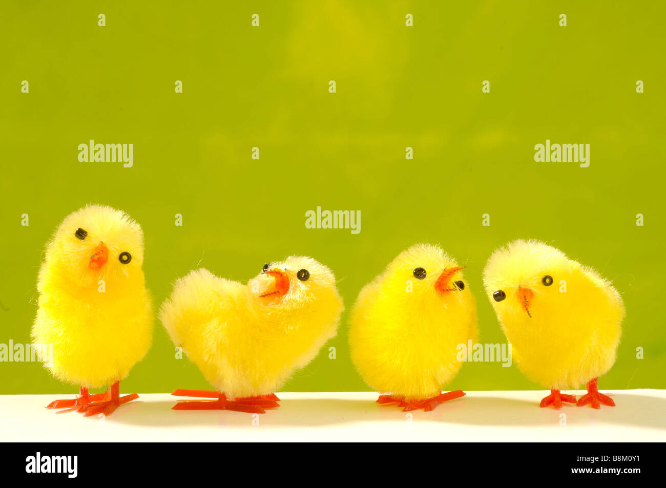 Yellow decorative chicks Stock Photo