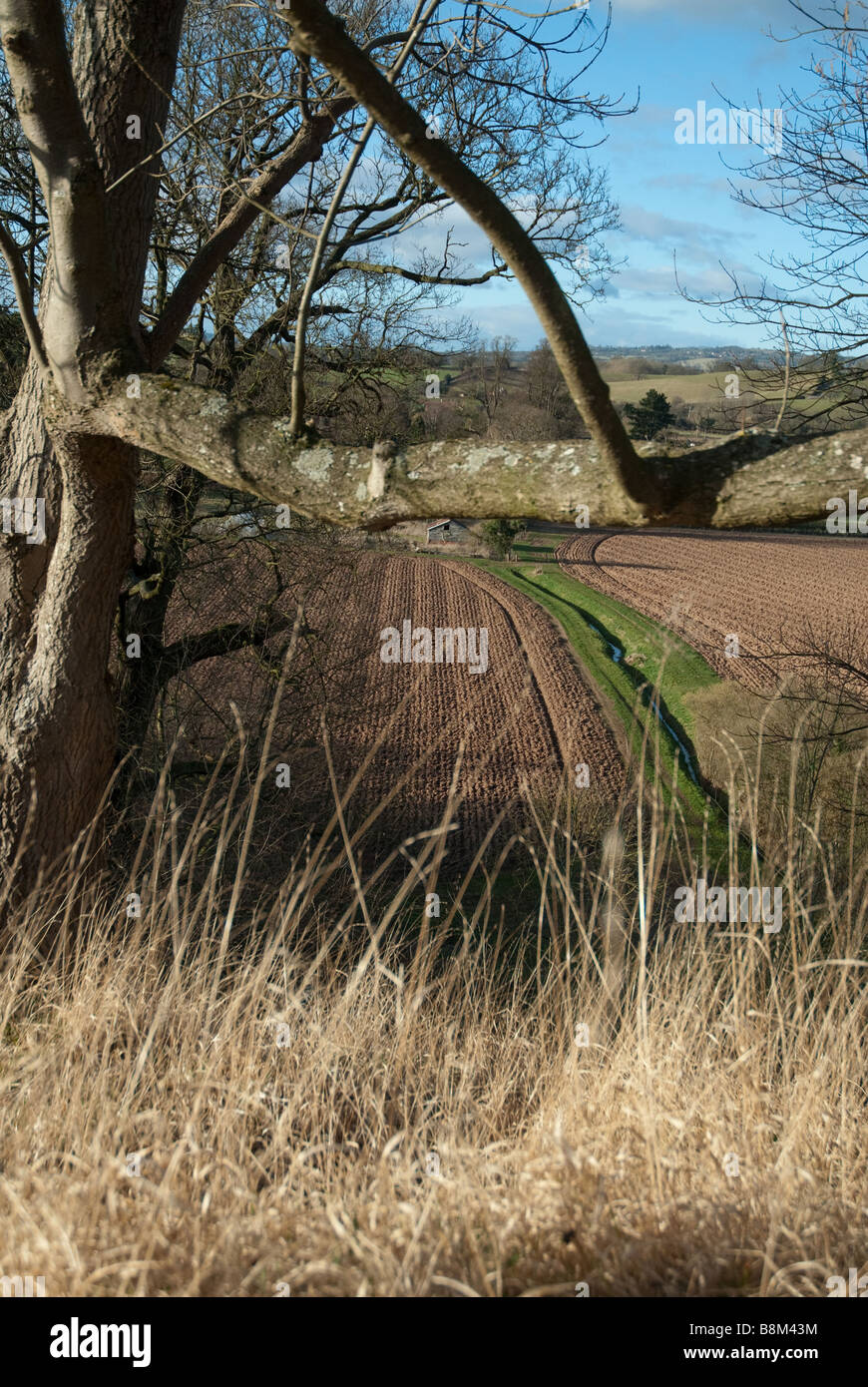 View of the countryside looking down from Berrington hillside in the spring sunshine, Tenbury Wells Stock Photo