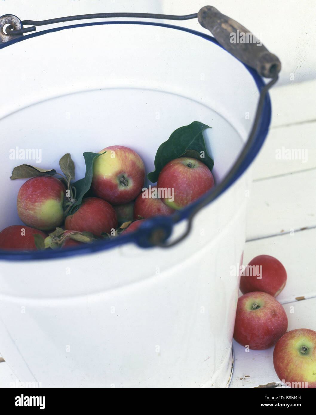 Bucket with apples Stock Photo