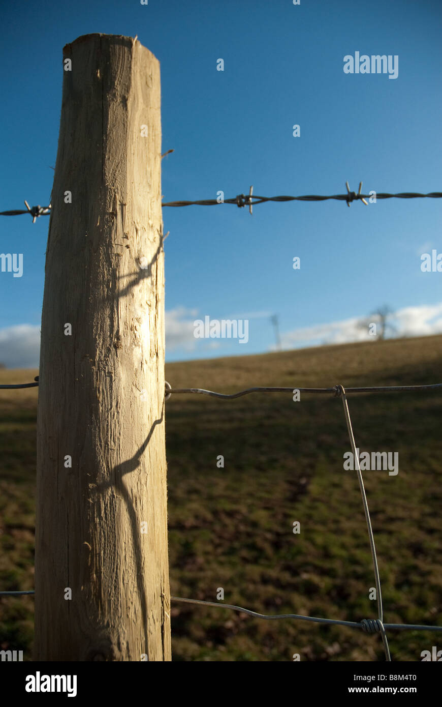 Barbed wire fence post in field Stock Photo