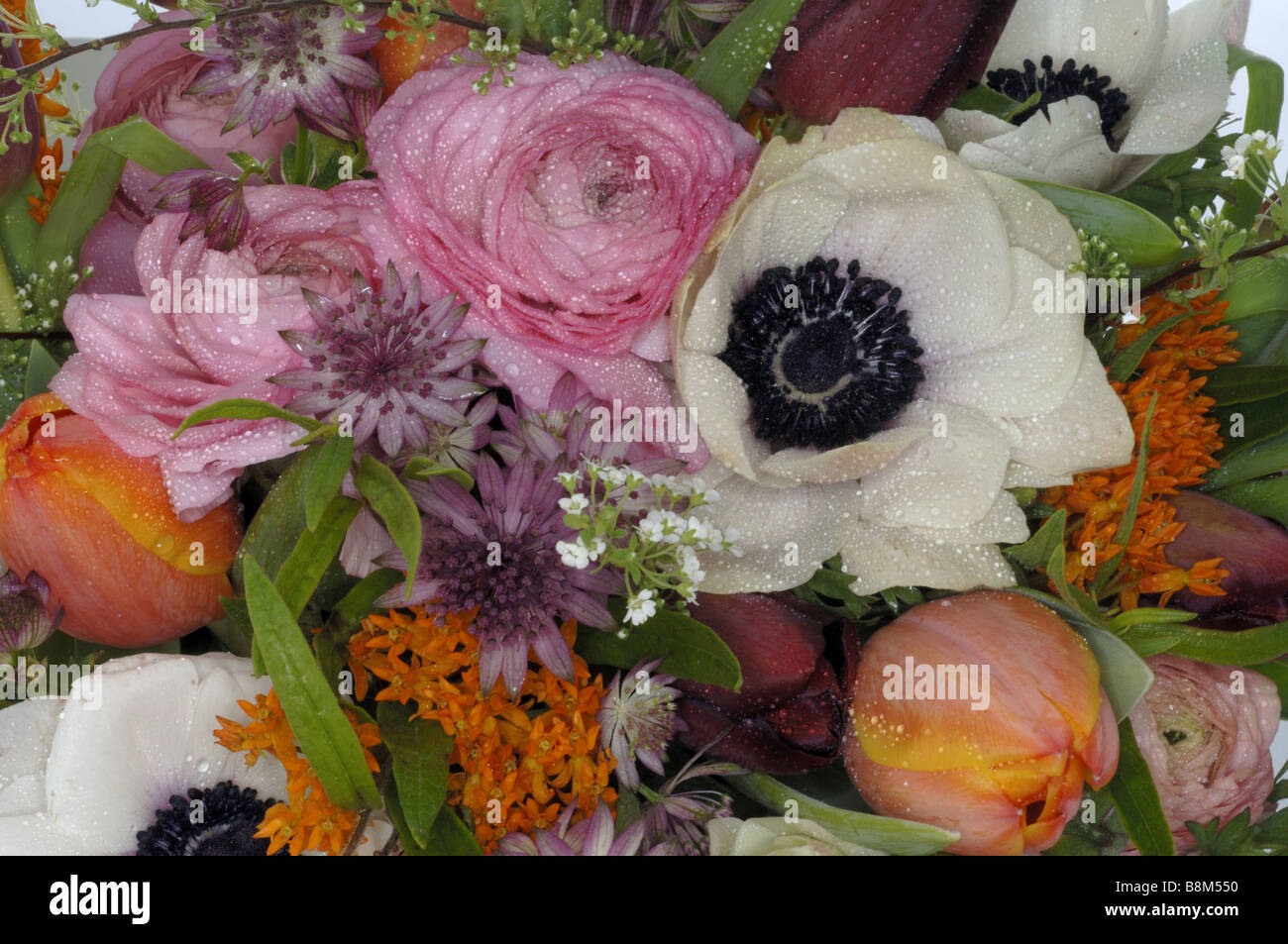 close-up springtime bouquet Stock Photo