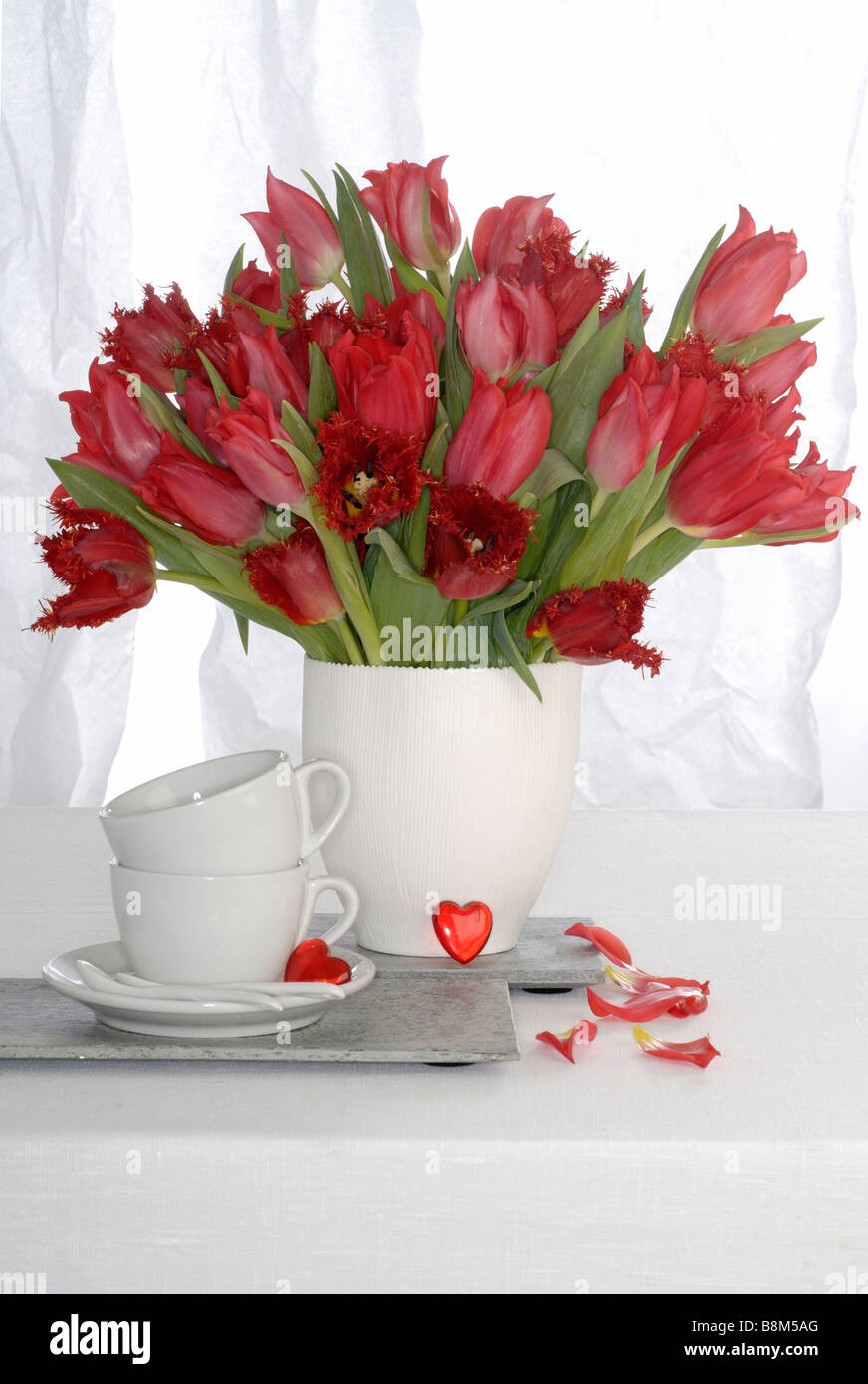 red tulip bouquet Stock Photo