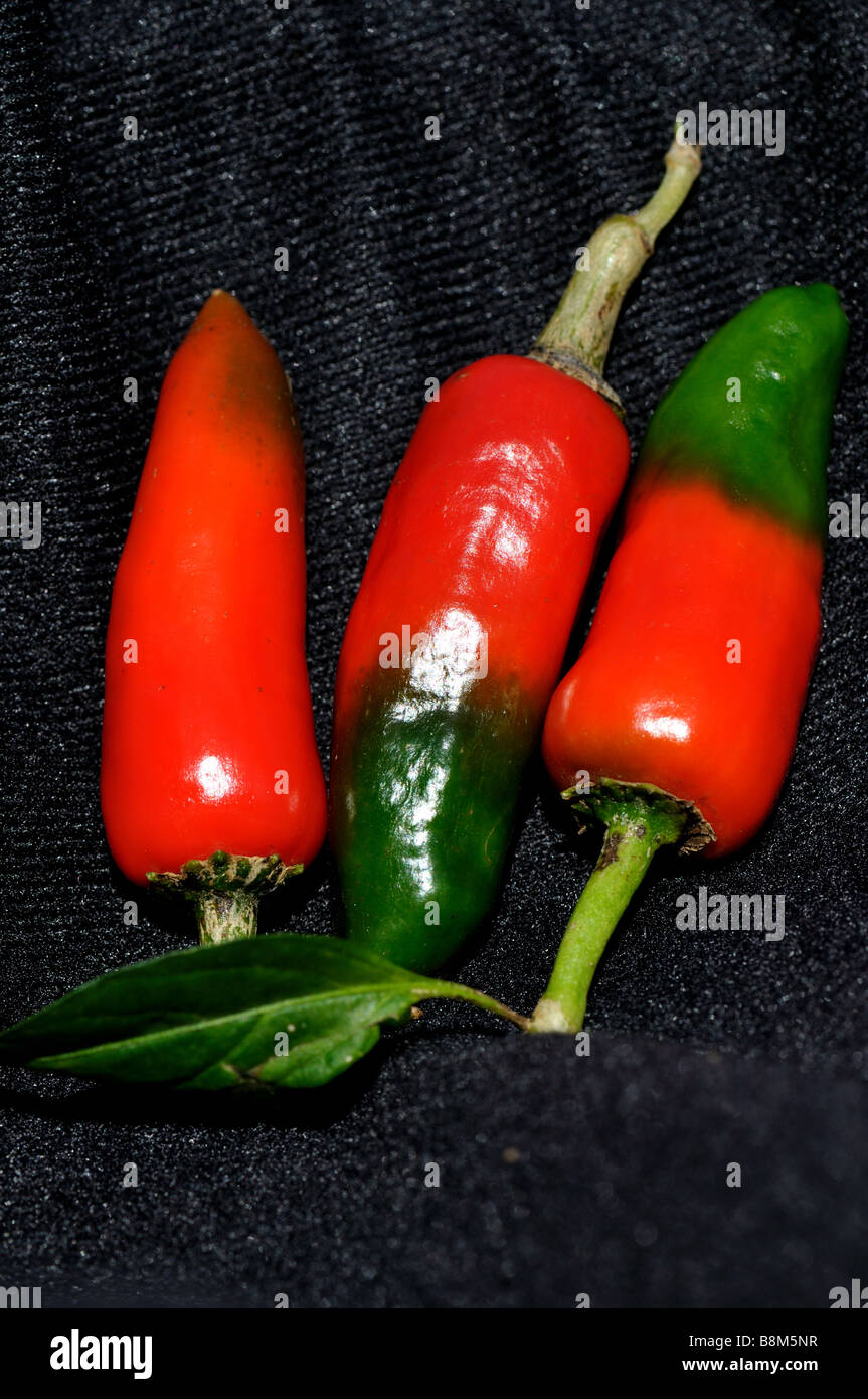 Red and green hot chili peppers Stock Photo - Alamy