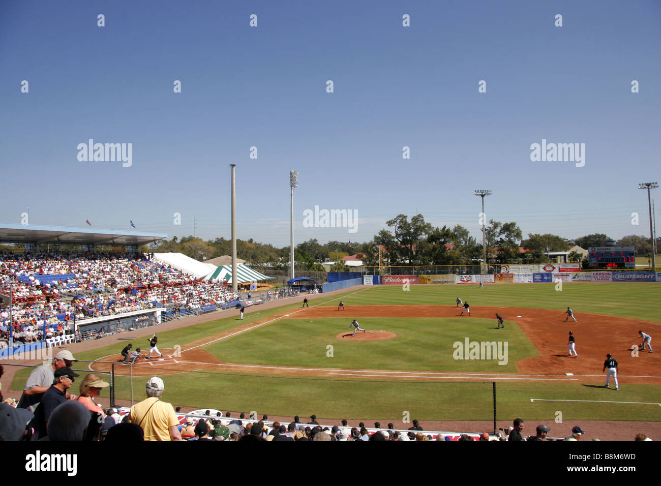 Toronto Blue Jays Playing The Detroit Tigers At Dunedin Baseball Stadium Florida Usa Stock Photo Alamy