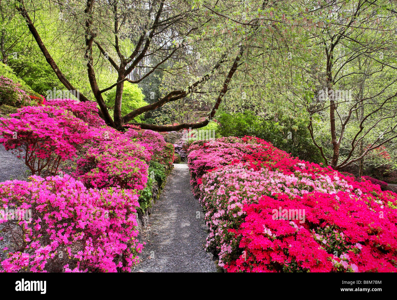 Mount Lofty Botanical Gardens Stock Photo 22572472 Alamy