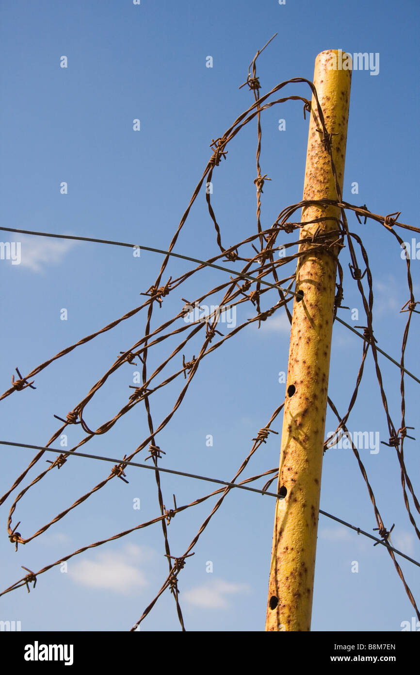 Tangled barbed wire on yellow fence post against blue sky Stock Photo