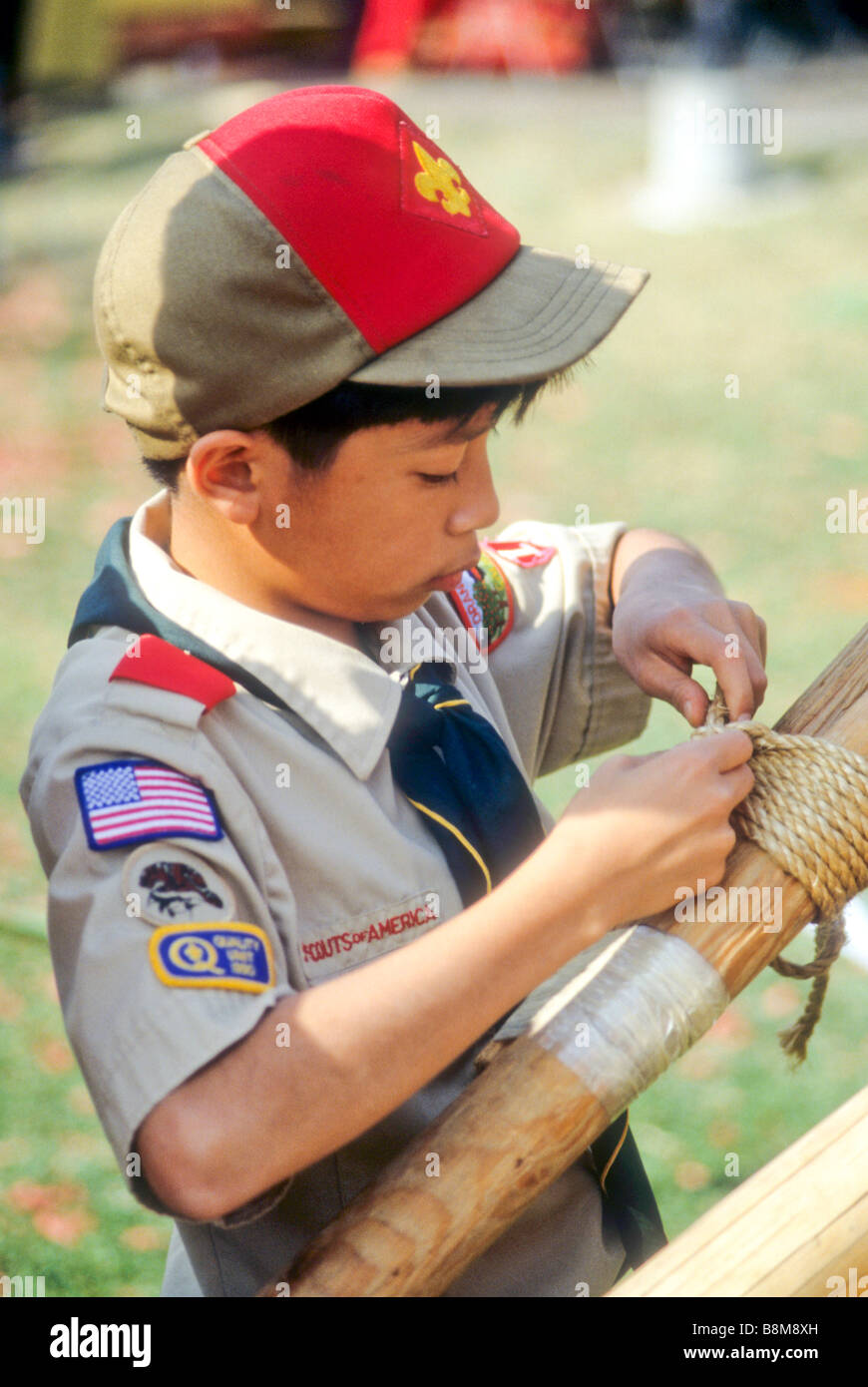 Boy scout badge hires stock photography and images Alamy