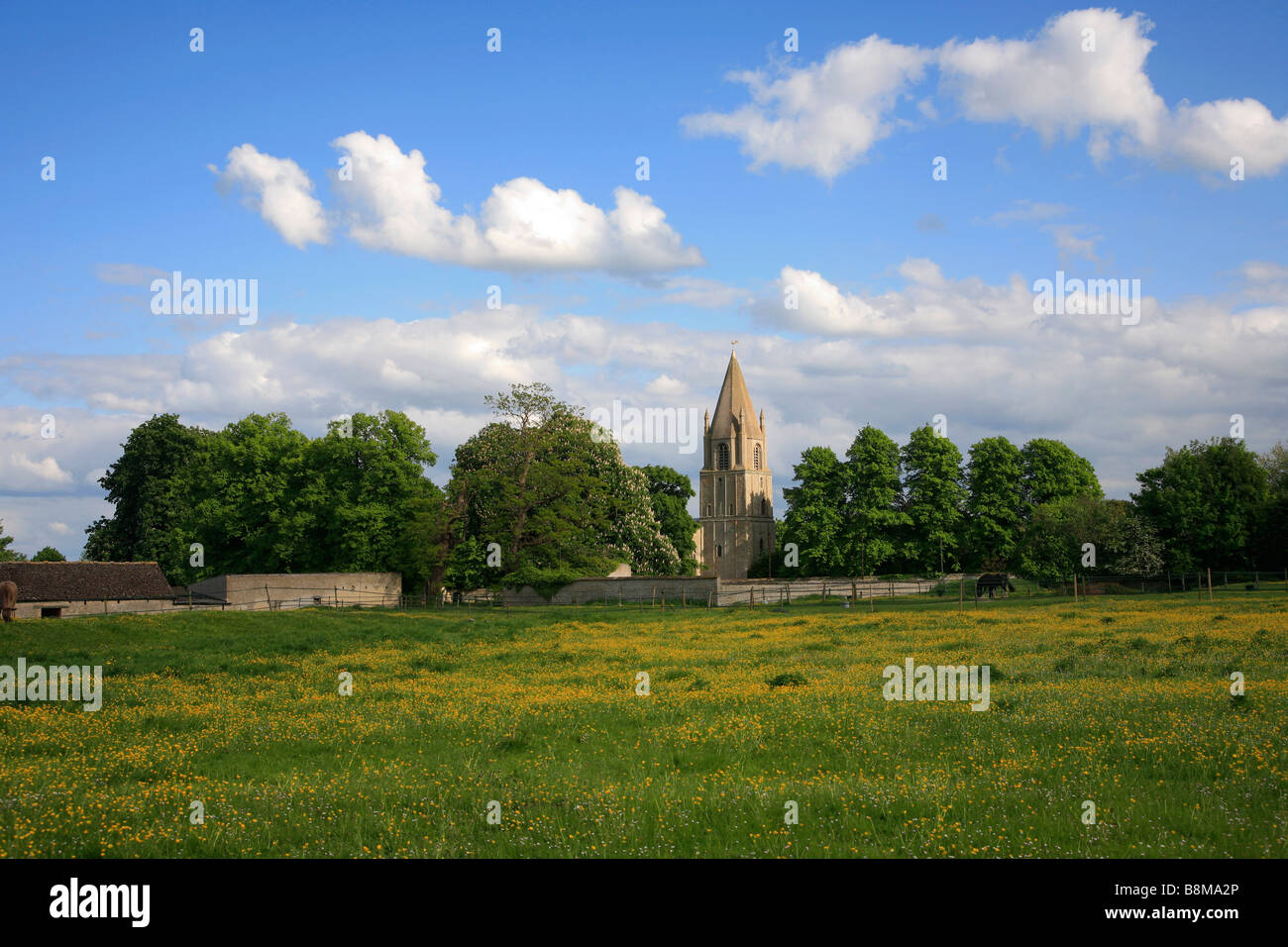Summer Landscape Scene Buttercup Meadows St Johns Church Barnack