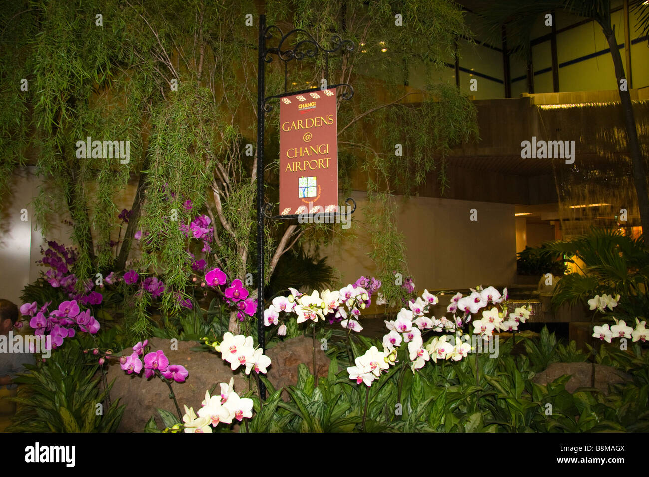 Changi airport garden hi-res stock photography and images - Alamy