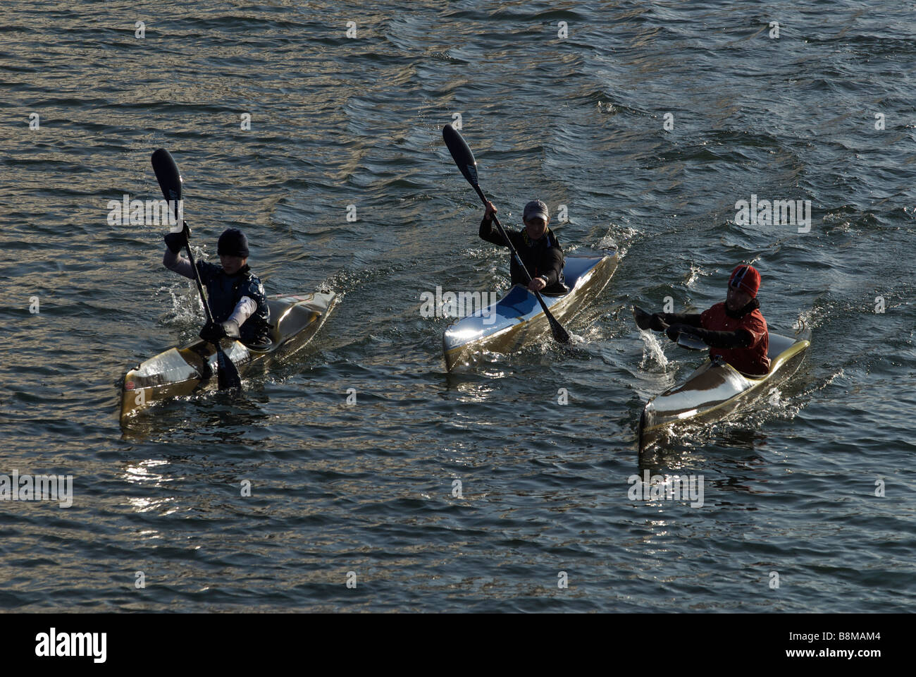 Canoeists, river Rhine, Coloigne, Germany. Stock Photo