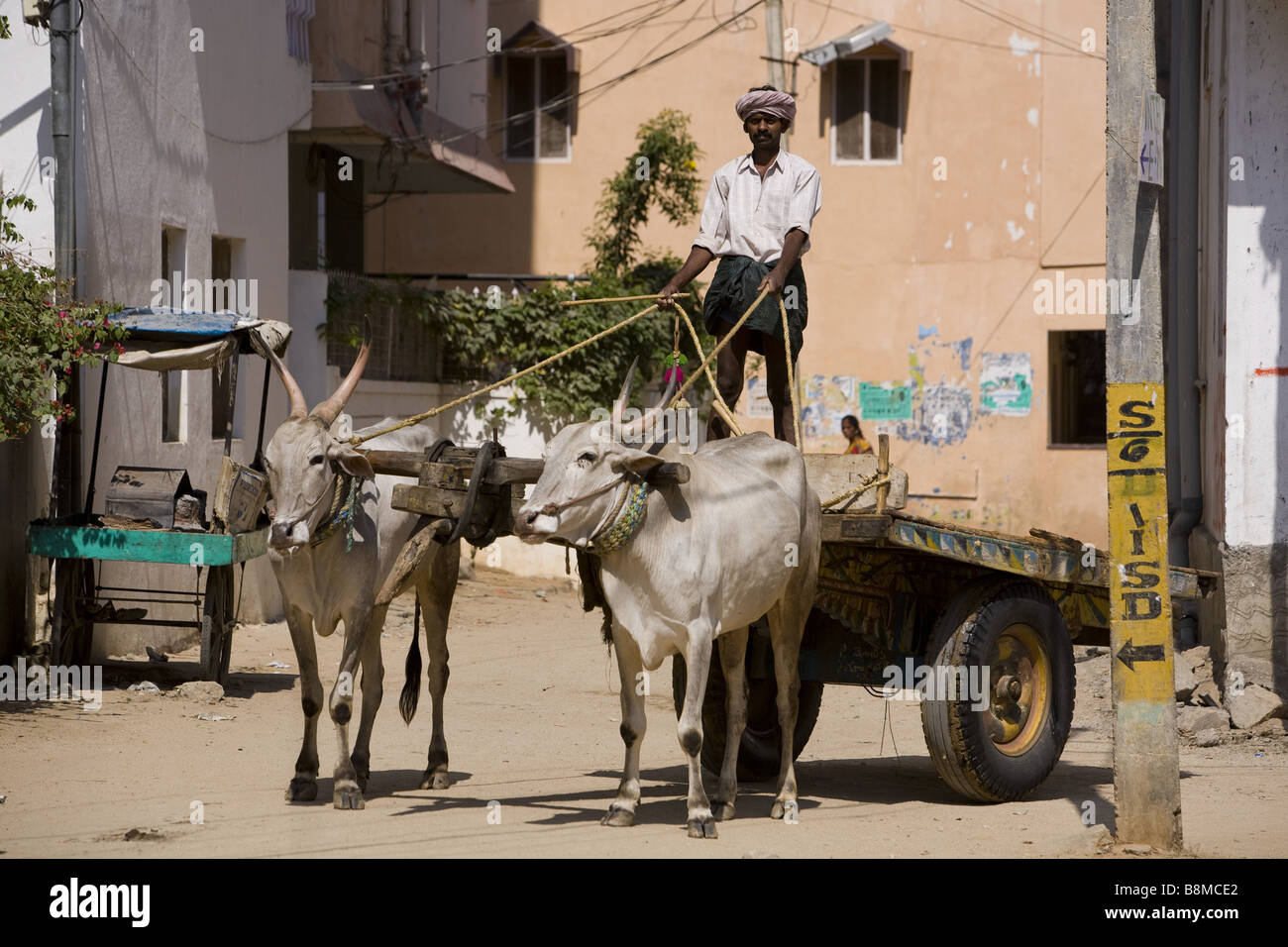 Indian man cart pulled hi-res stock photography and images - Alamy