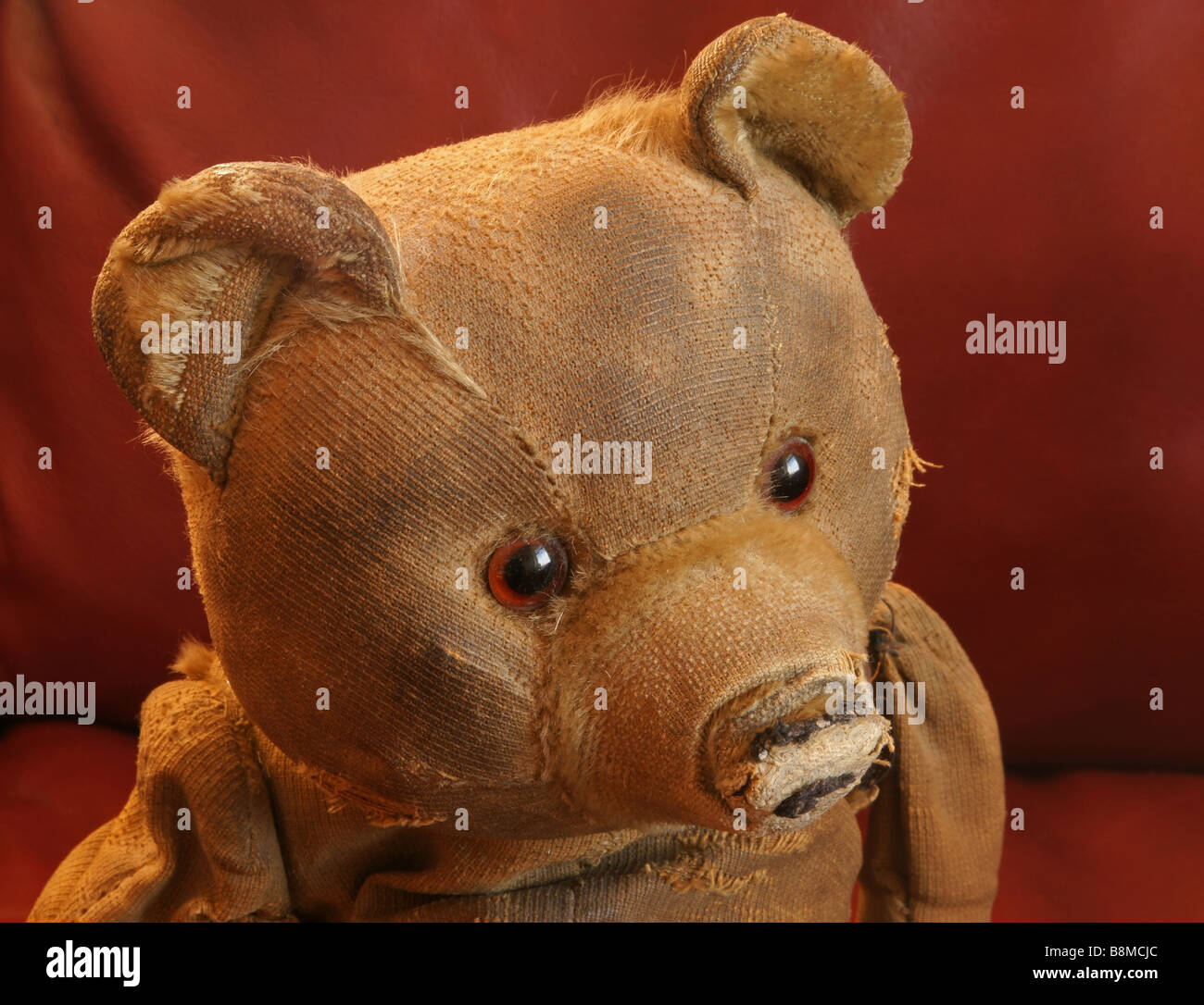 A vintage teddy bear from 1956 Stock Photo - Alamy